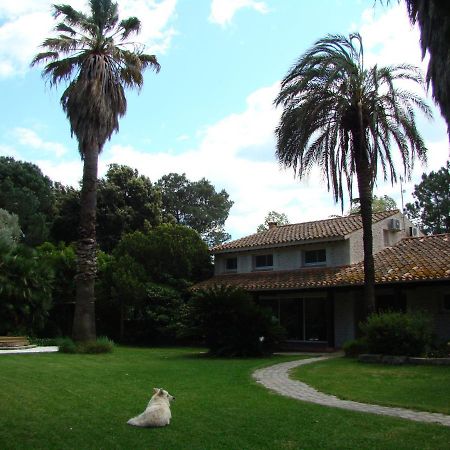 La Villa Saint Andre - Argeles Sur Mer Kültér fotó