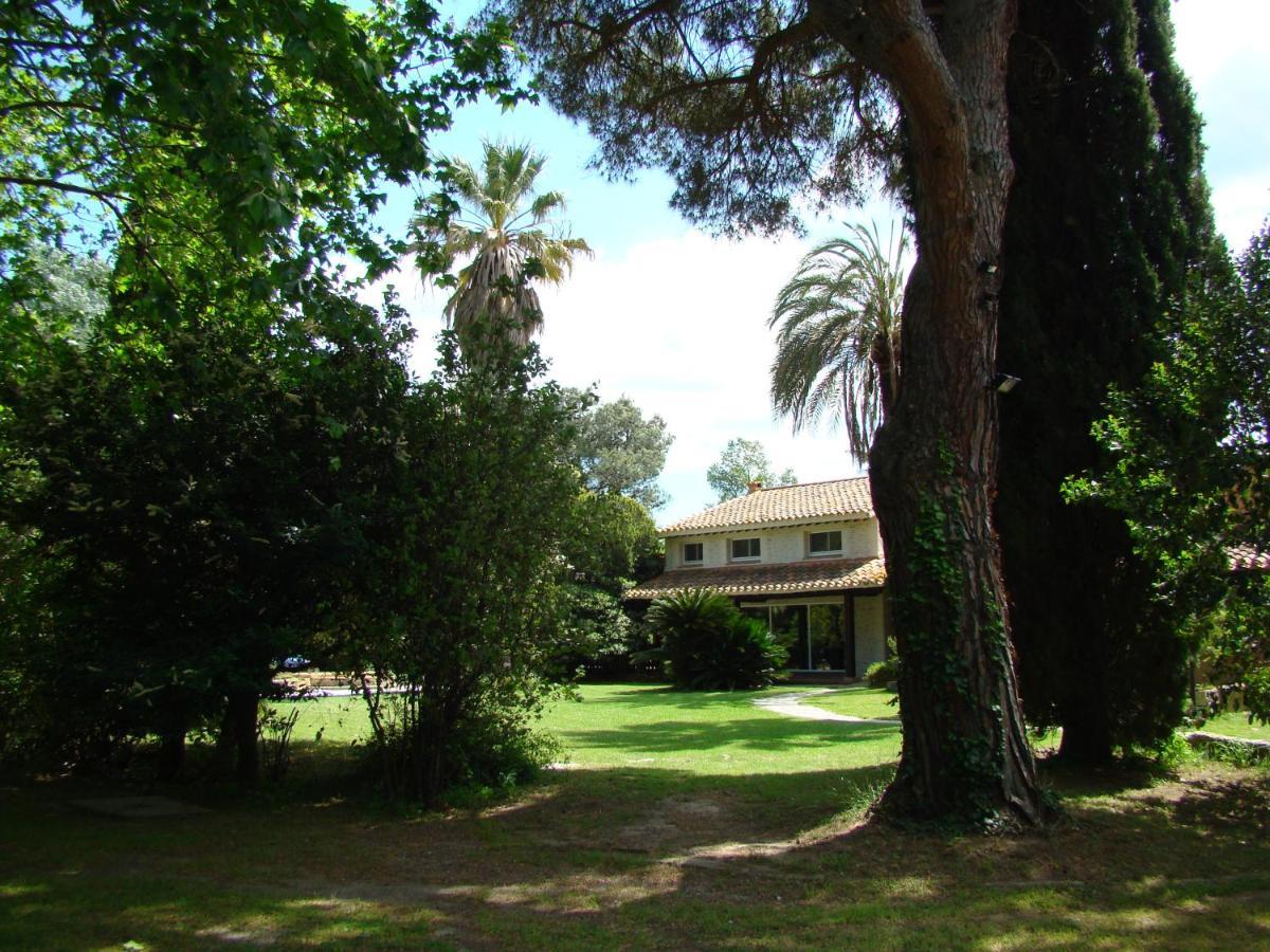 La Villa Saint Andre - Argeles Sur Mer Kültér fotó